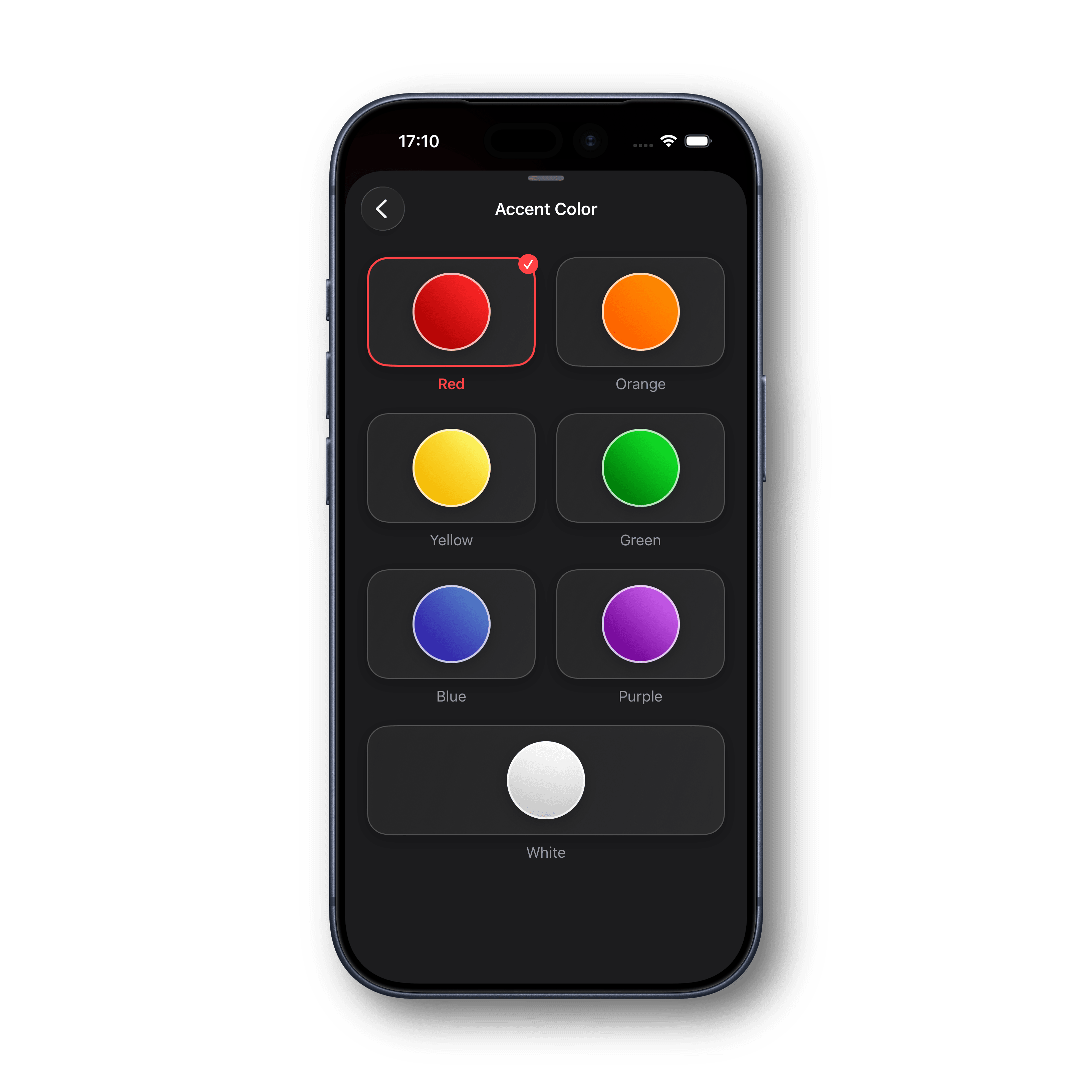 Day Tracker Themes and appearance